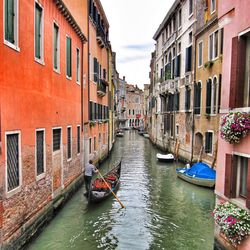 Rear view of man sailing gondola in canal amidst buildings