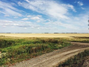 Scenic view of field against sky