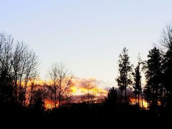 Silhouette of trees against sky at sunset