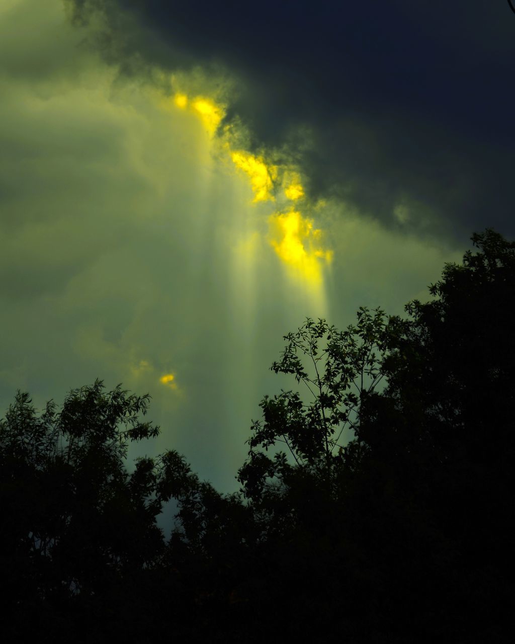 LOW ANGLE VIEW OF SILHOUETTE TREES AGAINST STORM CLOUDS