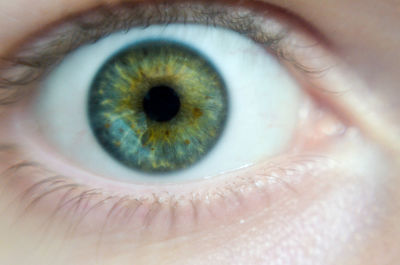 Close-up of human eye