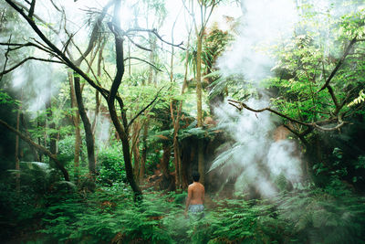 Scenic view of waterfall in forest