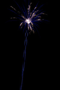 Low angle view of firework display at night