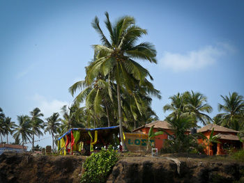 Low angle view of palm trees against blue sky