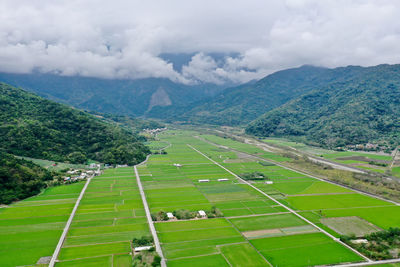 Scenic view of agricultural field against sky