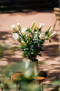 Close-up of flowers