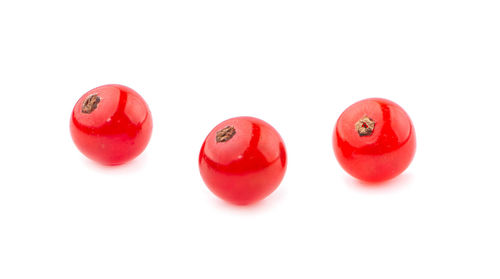 Close-up of red berries over white background