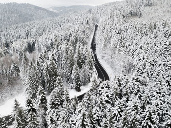 High angle view of snow covered land