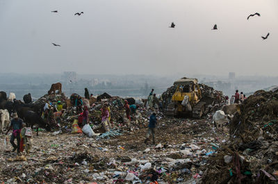 Landfill in new delhi india