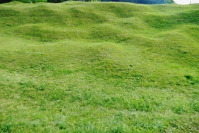 Full frame shot of grassy field