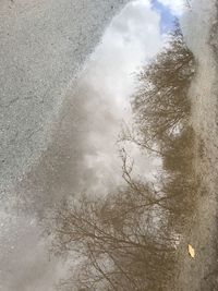 Low angle view of bare trees against sky