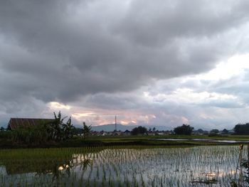 Scenic view of field against cloudy sky