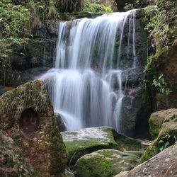 Scenic view of waterfall in forest