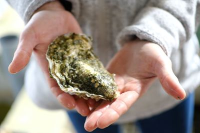 Midsection of woman holding oyster