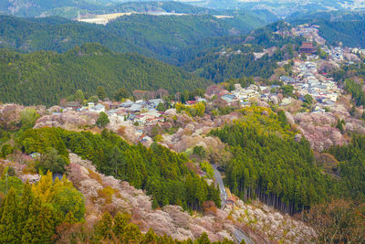 High angle view of trees on landscape