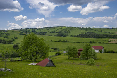 Scenic view of field against sky