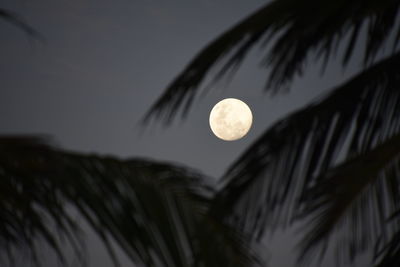 Low angle view of moon against sky at night