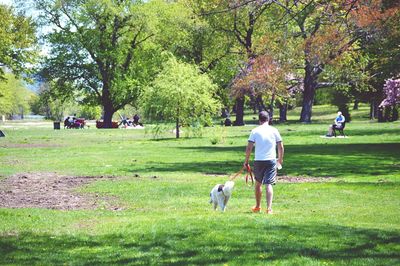 Trees in park