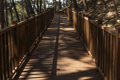 View of footbridge in forest