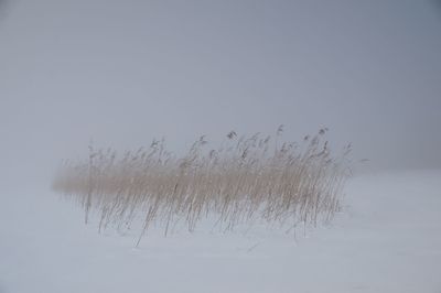 Scenic view of snow against clear sky