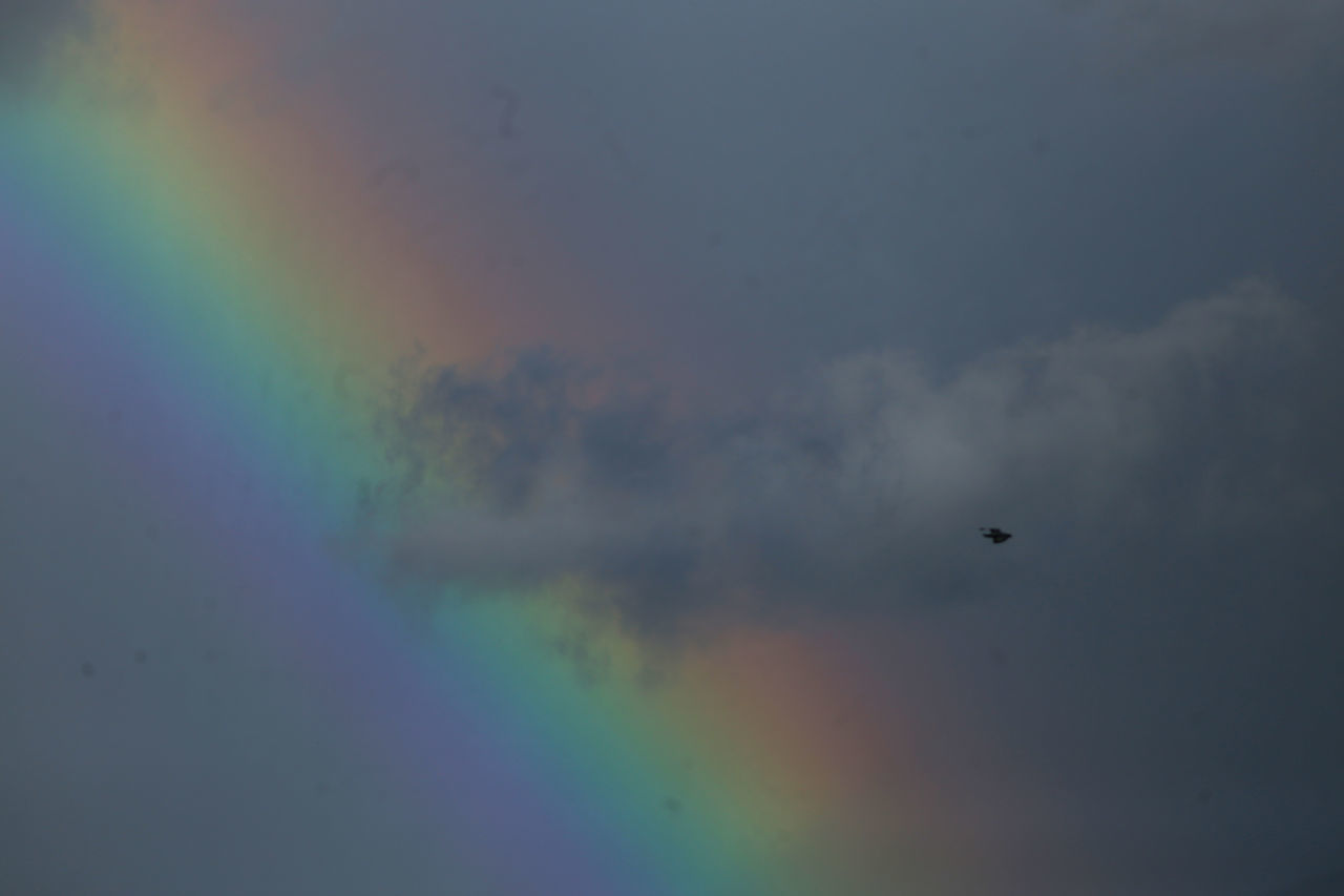 LOW ANGLE VIEW OF RAINBOW IN THE SKY