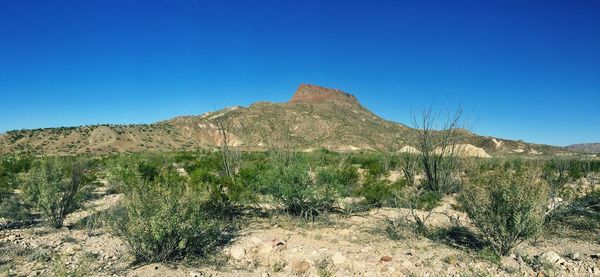 Scenic view of landscape against clear blue sky