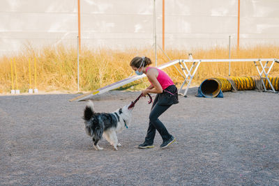 Border collie dog pulling rope from hand of female instructor during training on playground with agility equipment