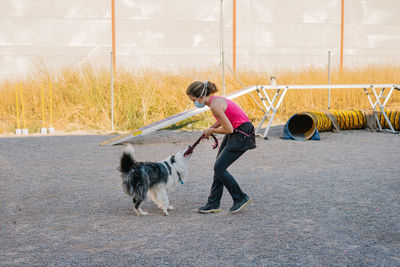 Border collie dog pulling rope from hand of female instructor during training on playground with agility equipment
