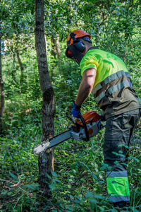 Forest worker working in the forest with chainsaw