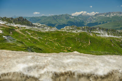 environment