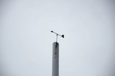 Low angle view of bird perching on pole against clear sky