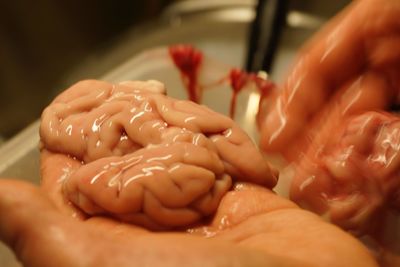 Close-up of hand holding meat