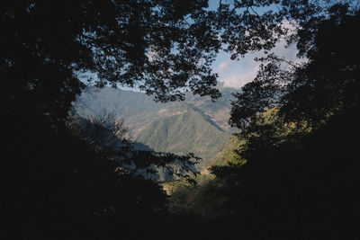 Silhouette trees and mountains against sky