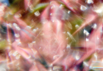 Full frame shot of abstract background