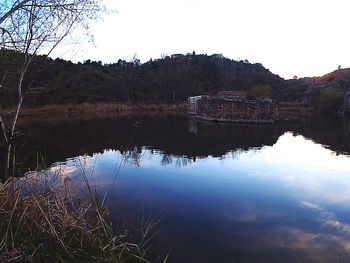 Reflection of trees in calm lake