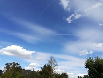 Low angle view of trees against blue sky