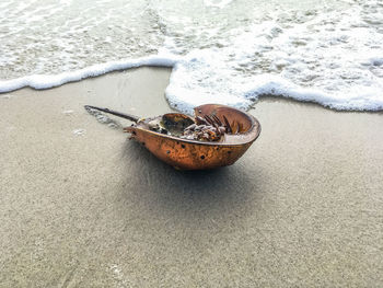 High angle view of ice on beach