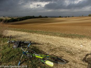 Scenic view of agricultural field against sky