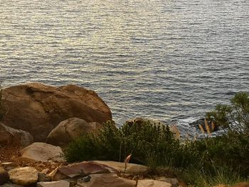 High angle view of rocks on beach