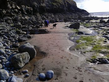 Rocks on beach