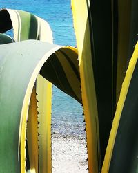 Close-up of yellow umbrella on sea