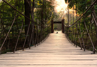 Wooden bridge in evening sun in camping forest