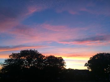 Silhouette trees against sky during sunset