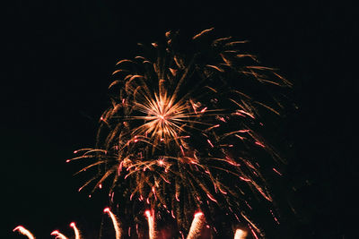 Low angle view of firework display against sky at night