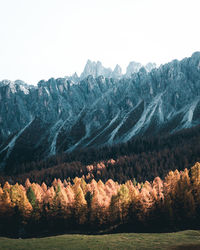 Scenic view of forest against sky during autumn