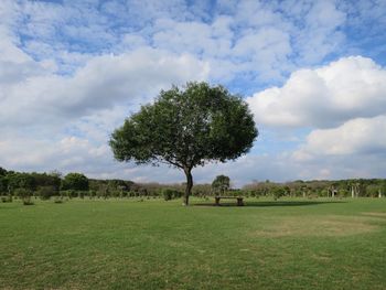 Scenic view of grassy field against cloudy sky