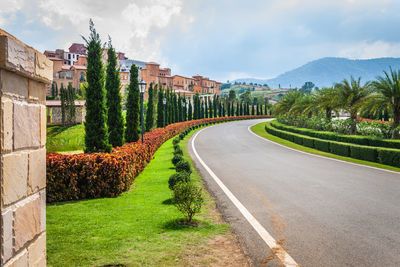 Road amidst plants and trees against sky in city
