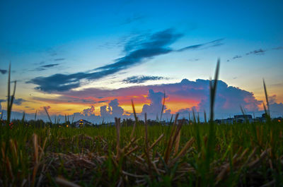 Scenic view of field against sky during sunset