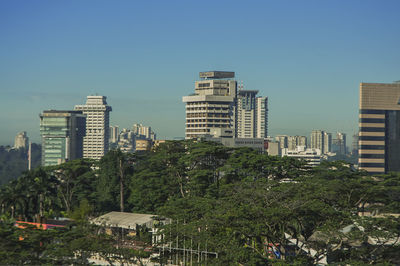 Trees and cityscape against clear blue sky