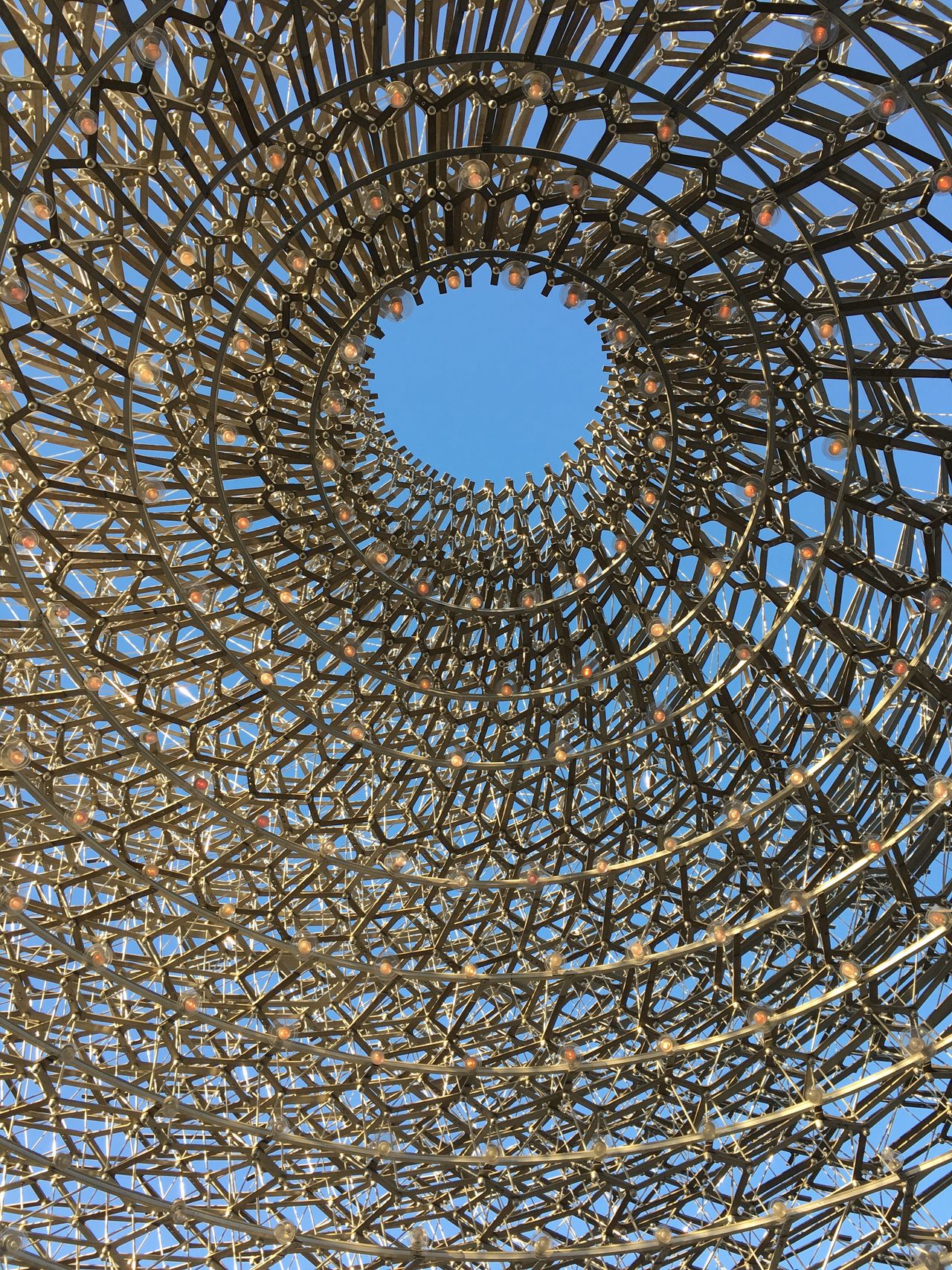 The Hive at Kew